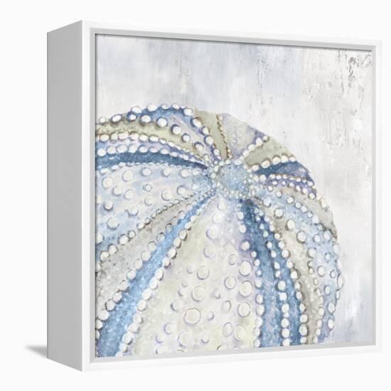 Soft Blue Sea Urchin-Eli Jones-Framed Stretched Canvas
