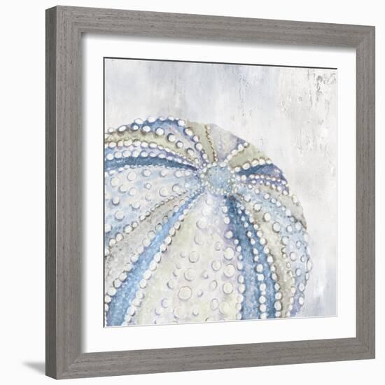 Soft Blue Sea Urchin-Eli Jones-Framed Art Print