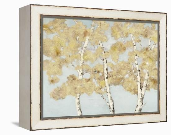 Soft Breeze I-Graham Reynolds-Framed Stretched Canvas