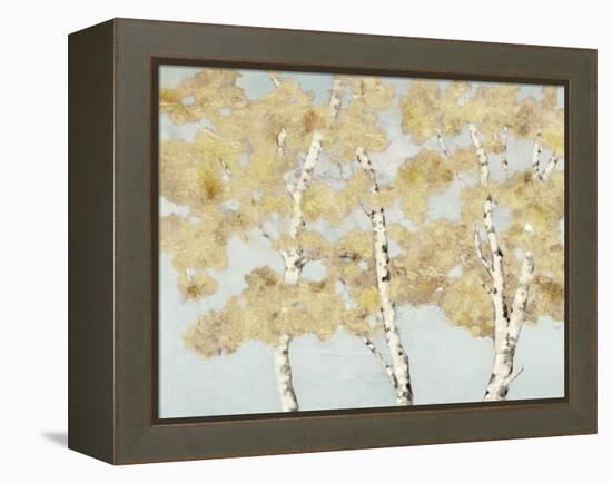 Soft Breeze I-Graham Reynolds-Framed Stretched Canvas