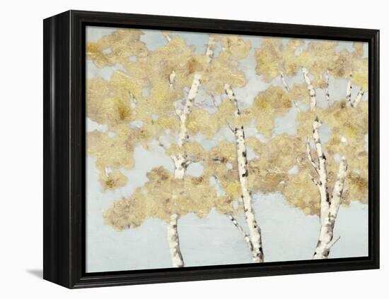 Soft Breeze I-Graham Reynolds-Framed Stretched Canvas