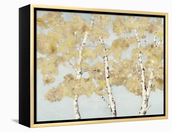 Soft Breeze I-Graham Reynolds-Framed Stretched Canvas