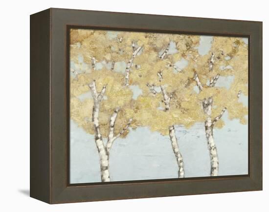 Soft Breeze II-Graham Reynolds-Framed Stretched Canvas