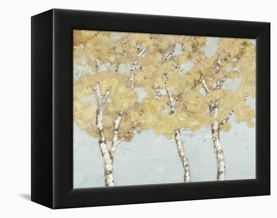 Soft Breeze II-Graham Reynolds-Framed Stretched Canvas