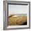 Soft Breeze Shores I-Gail Peck-Framed Photo