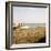 Soft Breeze Shores I-Gail Peck-Framed Photo