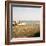 Soft Breeze Shores I-Gail Peck-Framed Photo