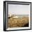 Soft Breeze Shores I-Gail Peck-Framed Photo