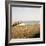 Soft Breeze Shores I-Gail Peck-Framed Photo