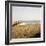 Soft Breeze Shores I-Gail Peck-Framed Photo