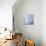 Soft Cascade-Jason Jarava-Premium Giclee Print displayed on a wall
