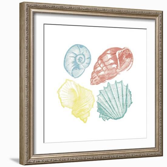 Soft Color Shells Mate-Jace Grey-Framed Art Print