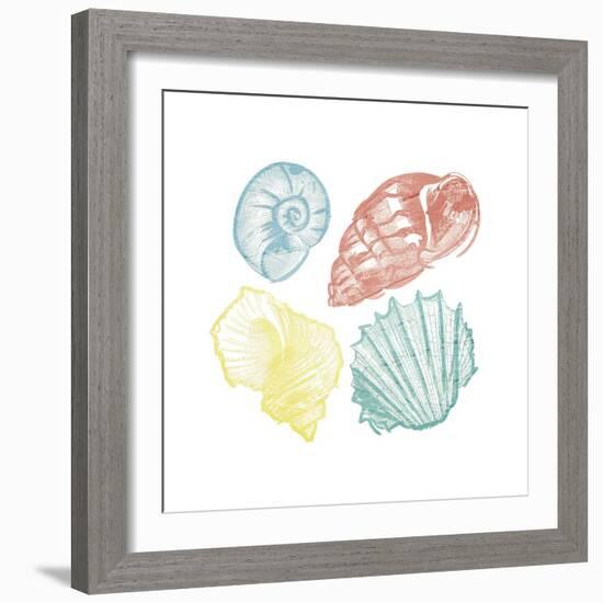 Soft Color Shells Mate-Jace Grey-Framed Art Print