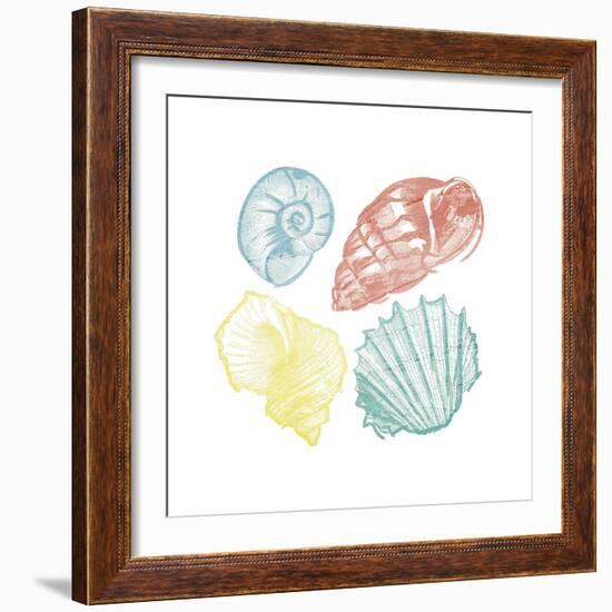 Soft Color Shells Mate-Jace Grey-Framed Art Print