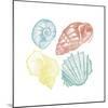 Soft Color Shells Mate-Jace Grey-Mounted Art Print