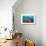 Soft Corals and Glassfish-Jones-Shimlock-Giclee Print displayed on a wall