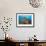 Soft Corals and Glassfish-Jones-Shimlock-Framed Giclee Print displayed on a wall