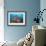 Soft Corals and Glassfish-Jones-Shimlock-Framed Giclee Print displayed on a wall