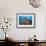 Soft Corals and Glassfish-Jones-Shimlock-Framed Giclee Print displayed on a wall