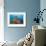 Soft Corals and Glassfish-Jones-Shimlock-Framed Giclee Print displayed on a wall