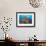 Soft Corals and Glassfish-Jones-Shimlock-Framed Giclee Print displayed on a wall