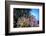 Soft Corals and Other Invertebrates Grow on a Reef in Indonesia-Stocktrek Images-Framed Photographic Print