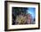 Soft Corals and Other Invertebrates Grow on a Reef in Indonesia-Stocktrek Images-Framed Photographic Print