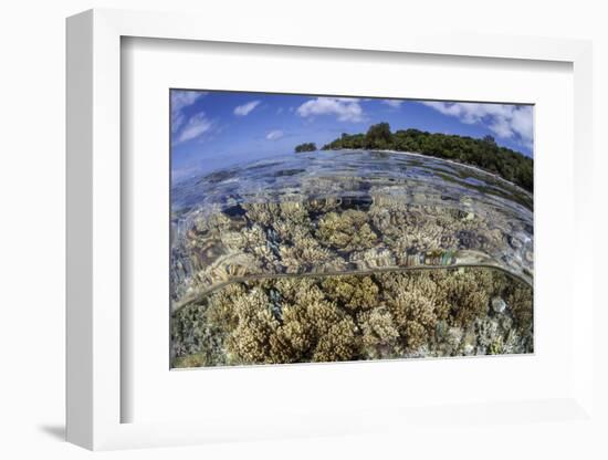 Soft Corals Grow on the Edge of Palau's Barrier Reef-Stocktrek Images-Framed Photographic Print