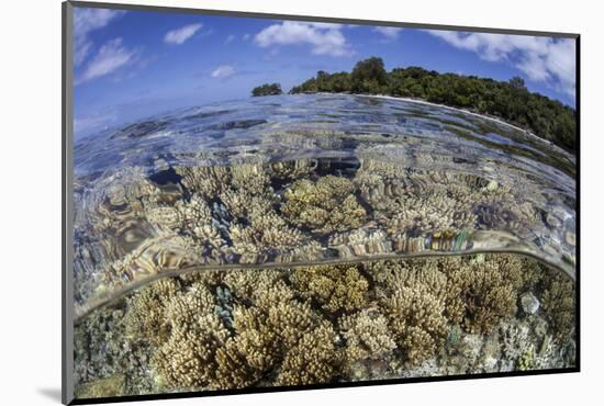 Soft Corals Grow on the Edge of Palau's Barrier Reef-Stocktrek Images-Mounted Photographic Print