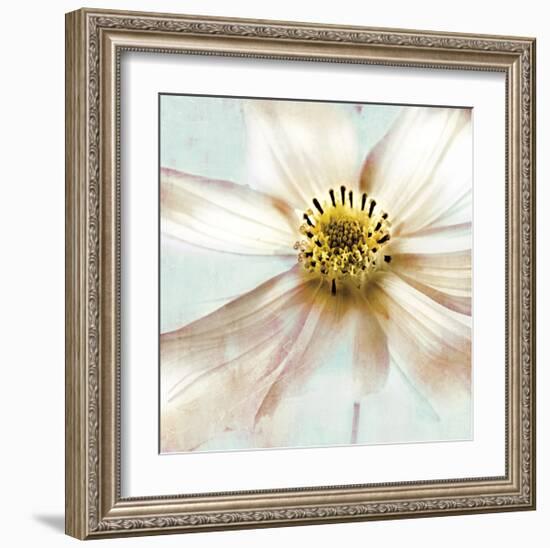 Soft Cosmos-Donna Geissler-Framed Giclee Print