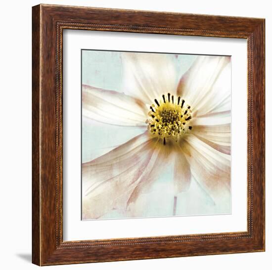 Soft Cosmos-Donna Geissler-Framed Giclee Print