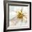 Soft Cosmos-Donna Geissler-Framed Giclee Print