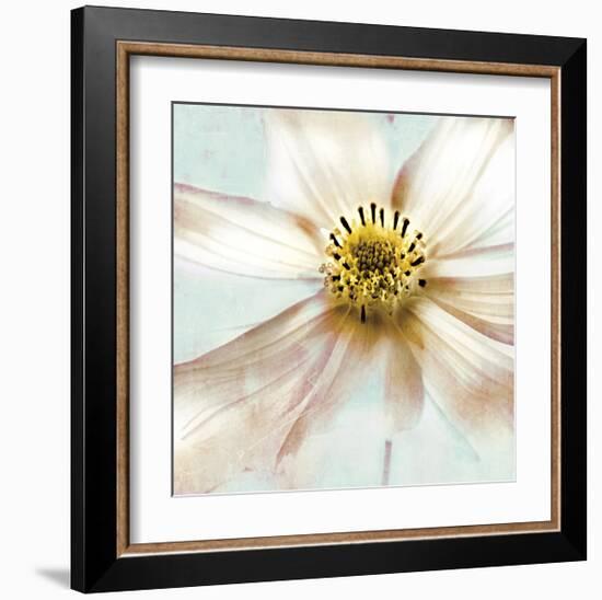 Soft Cosmos-Donna Geissler-Framed Giclee Print