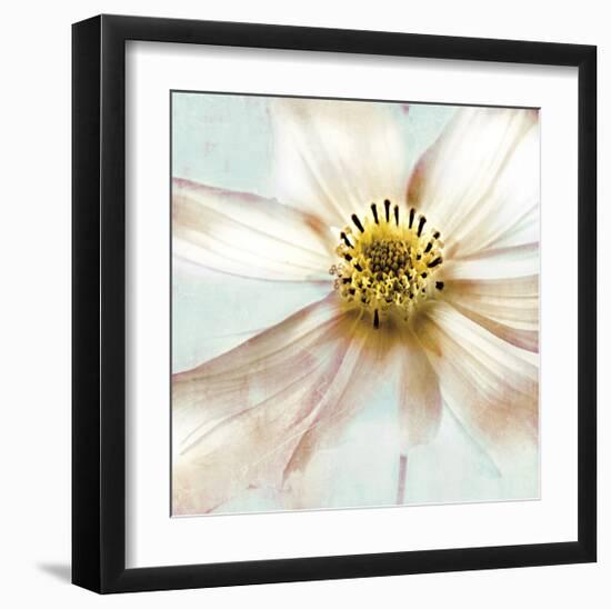 Soft Cosmos-Donna Geissler-Framed Giclee Print