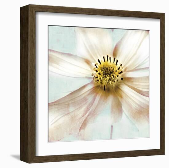 Soft Cosmos-Donna Geissler-Framed Giclee Print