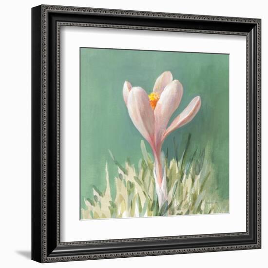 Soft Crocus-Danhui Nai-Framed Art Print