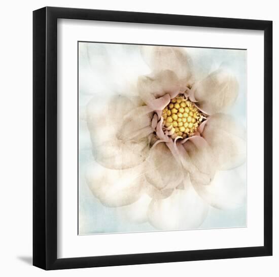 Soft Dahlia-Donna Geissler-Framed Giclee Print