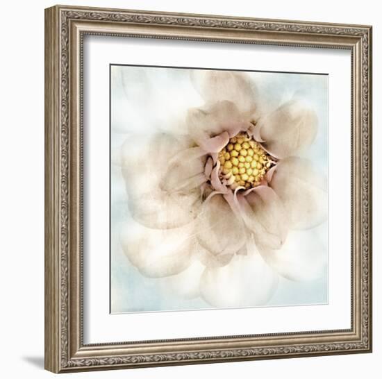 Soft Dahlia-Donna Geissler-Framed Giclee Print