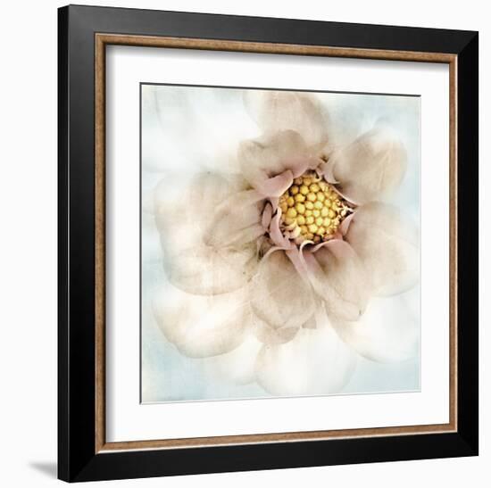 Soft Dahlia-Donna Geissler-Framed Giclee Print