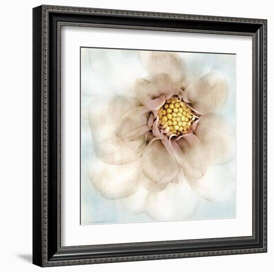 Soft Dahlia-Donna Geissler-Framed Giclee Print