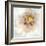 Soft Dahlia-Donna Geissler-Framed Giclee Print