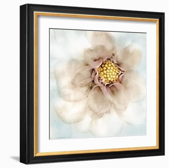 Soft Dahlia-Donna Geissler-Framed Giclee Print