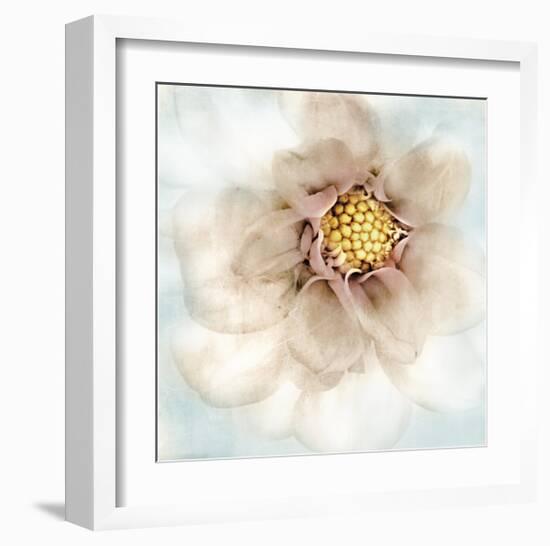 Soft Dahlia-Donna Geissler-Framed Giclee Print