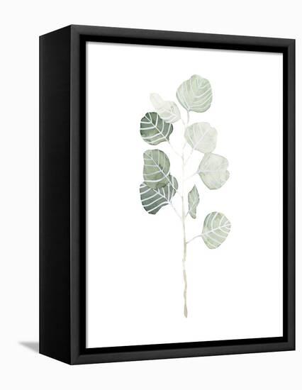 Soft Eucalyptus Branch I-Emma Scarvey-Framed Stretched Canvas