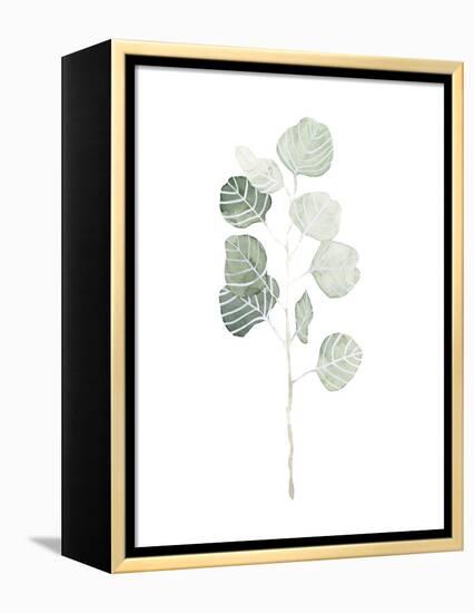 Soft Eucalyptus Branch I-Emma Scarvey-Framed Stretched Canvas