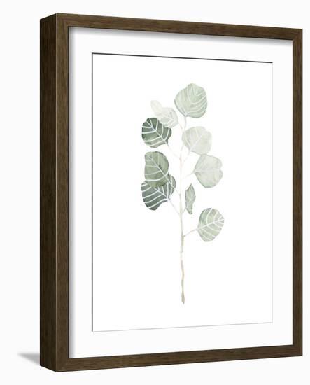 Soft Eucalyptus Branch I-Emma Scarvey-Framed Art Print