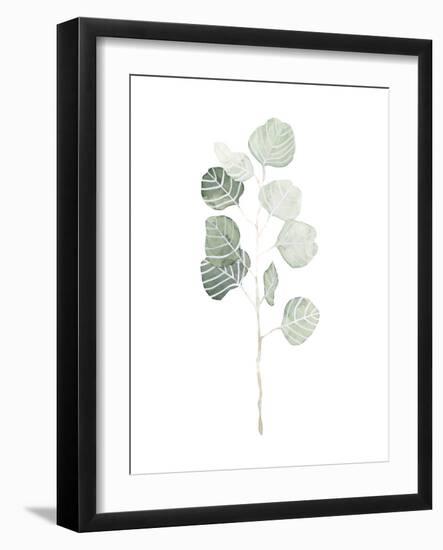 Soft Eucalyptus Branch I-Emma Scarvey-Framed Art Print