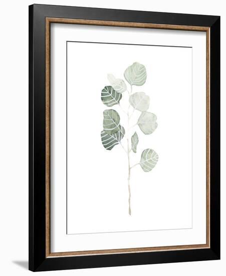 Soft Eucalyptus Branch I-Emma Scarvey-Framed Art Print