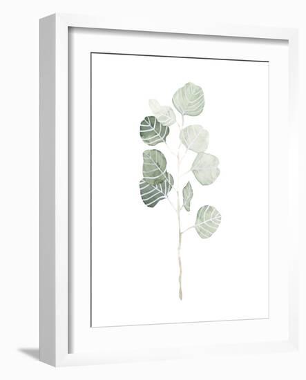Soft Eucalyptus Branch I-Emma Scarvey-Framed Art Print