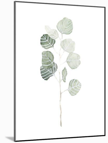 Soft Eucalyptus Branch I-Emma Scarvey-Mounted Art Print